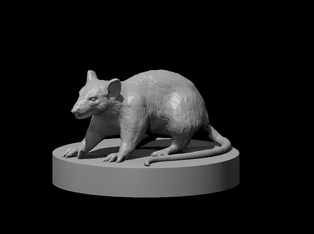 Unpainted resin miniature of a giant rat, sculpted by MZ4250